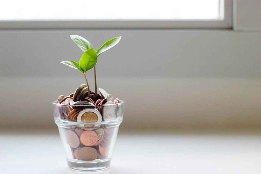 Budgeting Basics